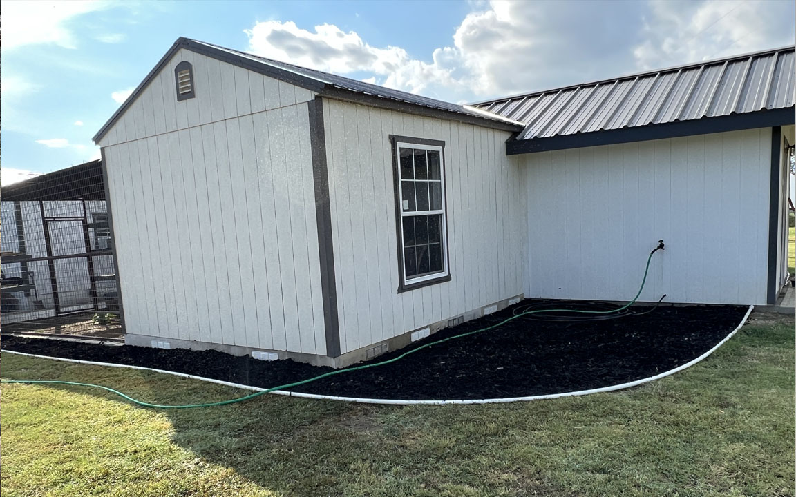 Bengal Kittens for sale near me